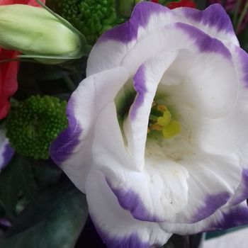 Consapevolezza corporea