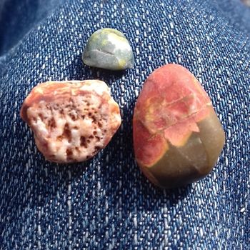 Fiori che simboleggiano i cicli della vita femminile