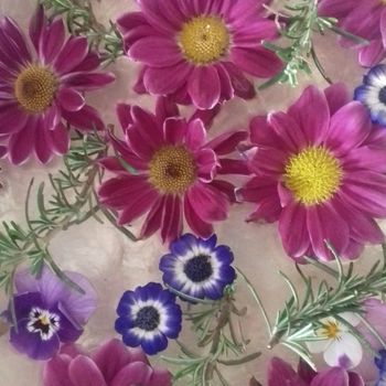 Rosa simbolo di femminilità e ascolto del corpo