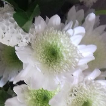 Pratica yoga adattata alla gravidanza