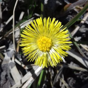 Consapevolezza del corpo e salute pelvica