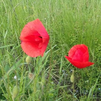 Massaggio e cura del corpo femminile