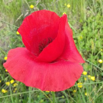 Anatomia e consapevolezza dell'utero