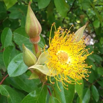 Termometro e grafico