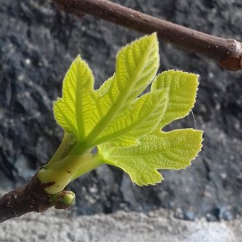 Riflessione e consapevolezza sulla maternità