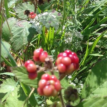 Il mistero e la bellezza del corpo femminile