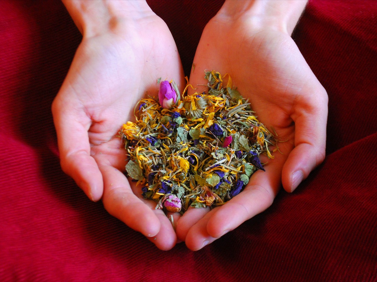 Erbe e rimedi naturali per la fertilità