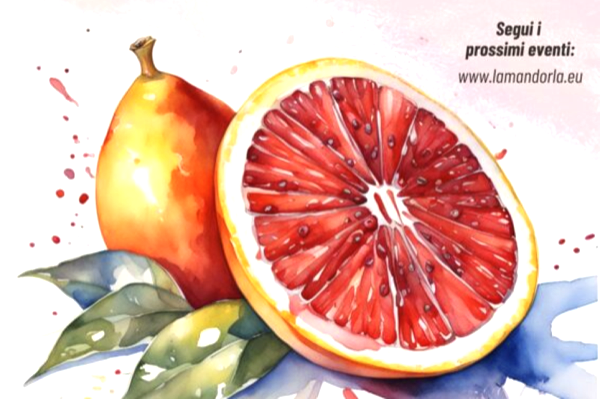 Acquarello arancia rossa — La Mandorla